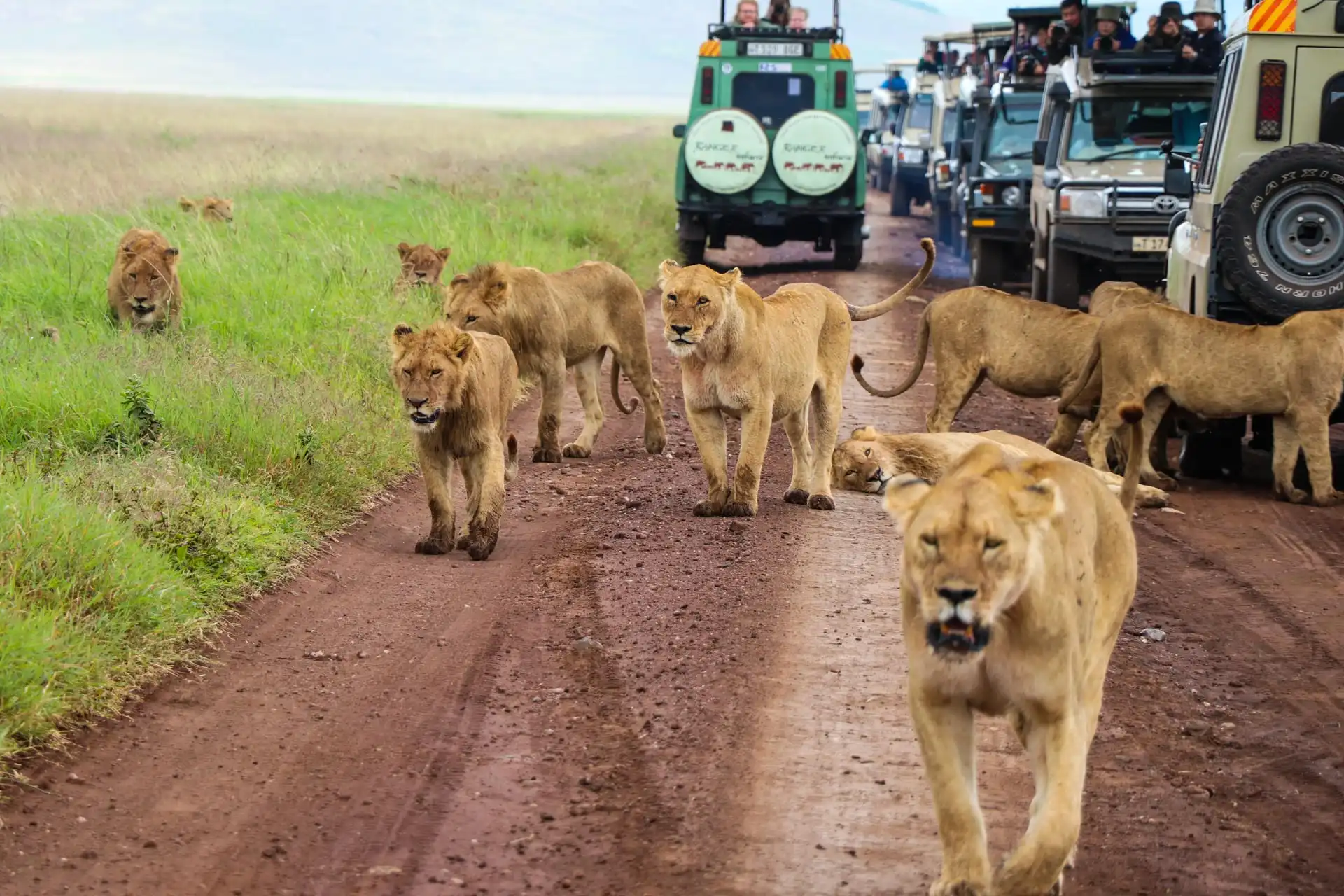 8-Days Tanzania Safari Adventures