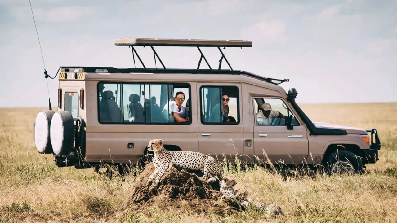 9-Days Tanzania Wildlife Safari Adventures